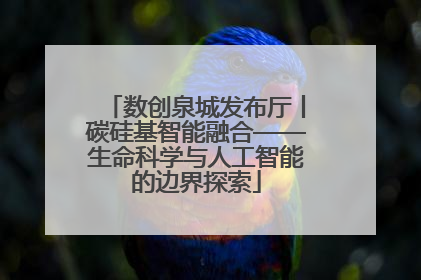 数创泉城发布厅丨碳硅基智能融合——生命科学与人工智能的边界探索