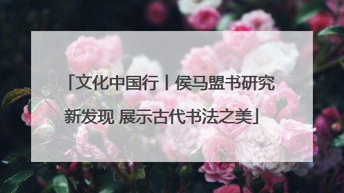 文化中国行丨侯马盟书研究新发现 展示古代书法之美