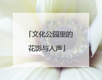 文化公园里的花影与人声