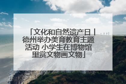 文化和自然遗产日丨德州举办美育教育主题活动 小学生在博物馆里赏文物画文物