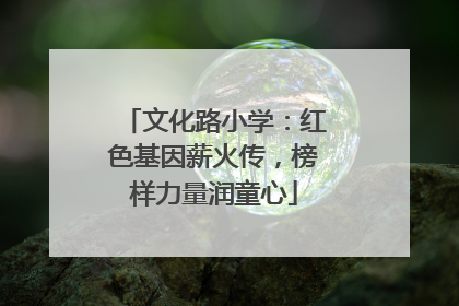 文化路小学：红色基因薪火传，榜样力量润童心