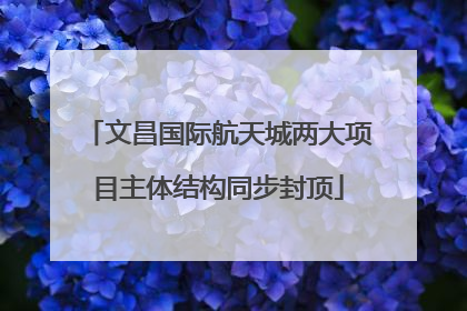 文昌国际航天城两大项目主体结构同步封顶