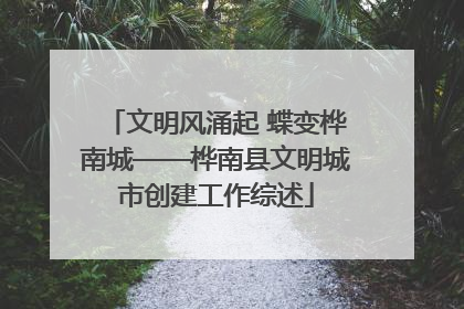 文明风涌起 蝶变桦南城——桦南县文明城市创建工作综述