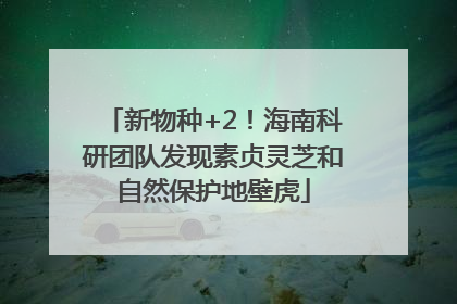 新物种+2！海南科研团队发现素贞灵芝和自然保护地壁虎