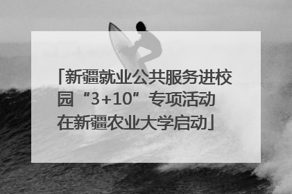 新疆就业公共服务进校园“3+10”专项活动在新疆农业大学启动