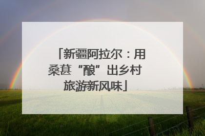新疆阿拉尔：用桑葚“酿”出乡村旅游新风味