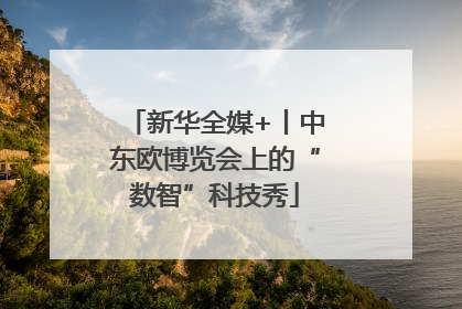 新华全媒+丨中东欧博览会上的“数智”科技秀