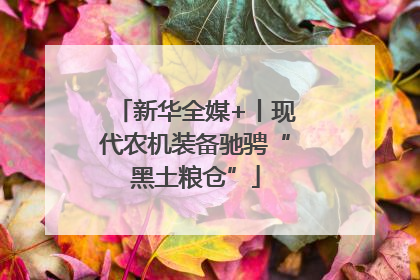 新华全媒+丨现代农机装备驰骋“黑土粮仓”