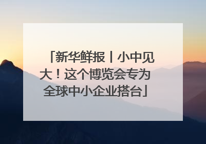 新华鲜报丨小中见大！这个博览会专为全球中小企业搭台