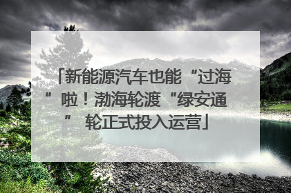 新能源汽车也能“过海”啦！渤海轮渡“绿安通” 轮正式投入运营