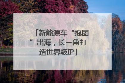 新能源车“抱团”出海，长三角打造世界级IP