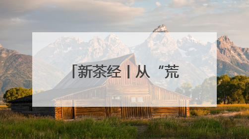 新茶经丨从“荒山”到“金山”，浙江茶二代的数字苗圃改变了什么