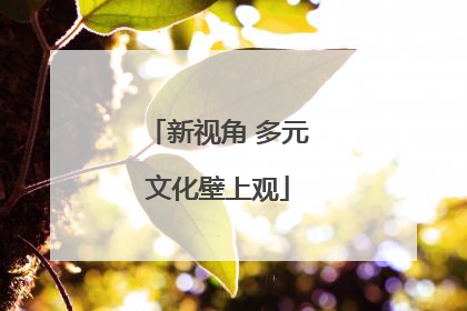 新视角 多元文化壁上观