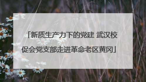 新质生产力下的党建 武汉校促会党支部走进革命老区黄冈