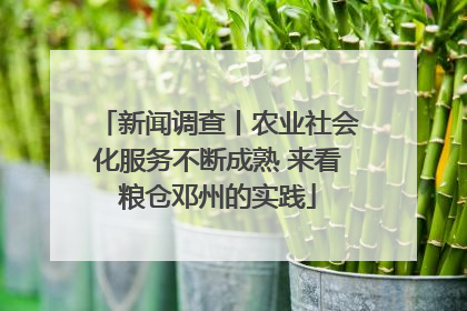 新闻调查丨农业社会化服务不断成熟 来看粮仓邓州的实践