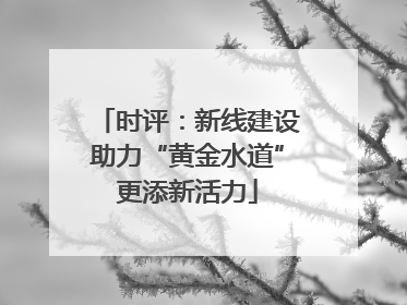 时评：新线建设助力“黄金水道”更添新活力