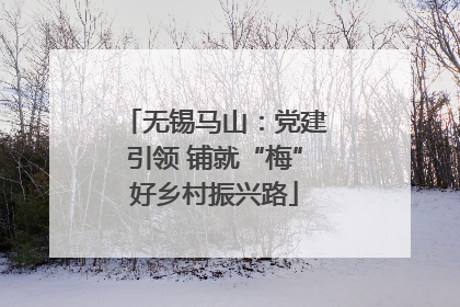 无锡马山：党建引领 铺就“梅”好乡村振兴路
