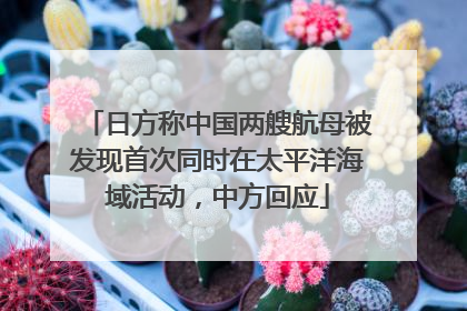日方称中国两艘航母被发现首次同时在太平洋海域活动，中方回应