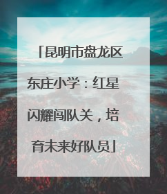 昆明市盘龙区东庄小学：红星闪耀闯队关，培育未来好队员