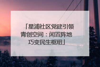 星浦社区党建引领青创空间：闲置阵地巧变民生枢纽