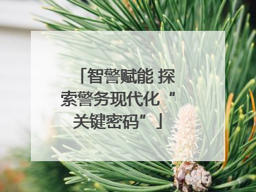 智警赋能 探索警务现代化“关键密码”