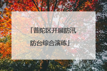 普陀区开展防汛防台综合演练
