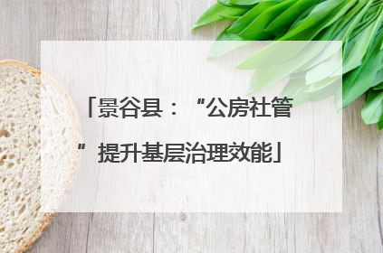景谷县：“公房社管”提升基层治理效能
