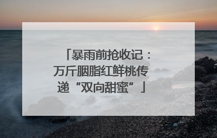 暴雨前抢收记：万斤胭脂红鲜桃传递“双向甜蜜”