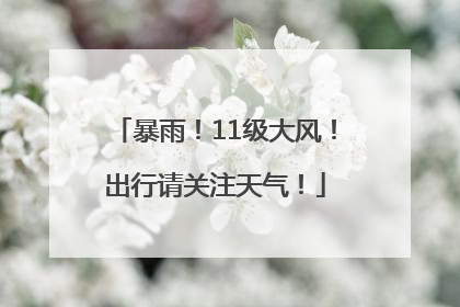 暴雨！11级大风！出行请关注天气！