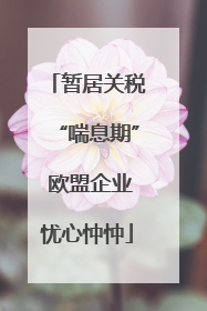 暂居关税“喘息期” 欧盟企业忧心忡忡