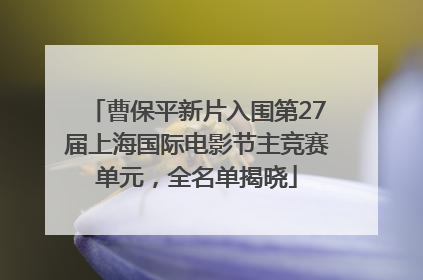 曹保平新片入围第27届上海国际电影节主竞赛单元，全名单揭晓