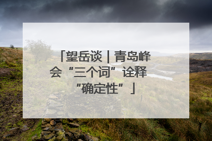 望岳谈｜青岛峰会“三个词”诠释“确定性”
