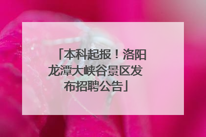 本科起报！洛阳龙潭大峡谷景区发布招聘公告