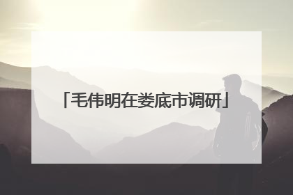 毛伟明在娄底市调研