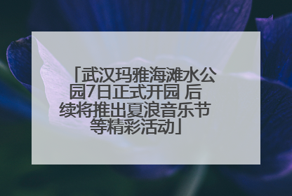 武汉玛雅海滩水公园7日正式开园 后续将推出夏浪音乐节等精彩活动