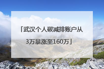 武汉个人碳减排账户从3万暴涨至160万
