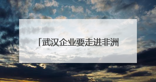 武汉企业要走进非洲，非洲女生想长居武汉 高水平对外开放推动鄂非双向奔赴