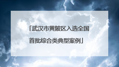 武汉市黄陂区入选全国首批综合类典型案例