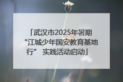 武汉市2025年暑期“江城少年国安教育基地行” 实践活动启动