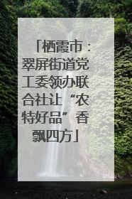 栖霞市：翠屏街道党工委领办联合社让“农特好品”香飘四方