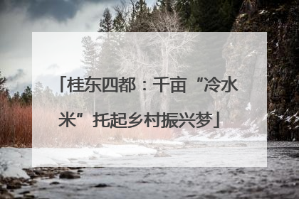 桂东四都：千亩“冷水米”托起乡村振兴梦