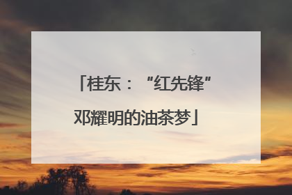 桂东：“红先锋”邓耀明的油茶梦