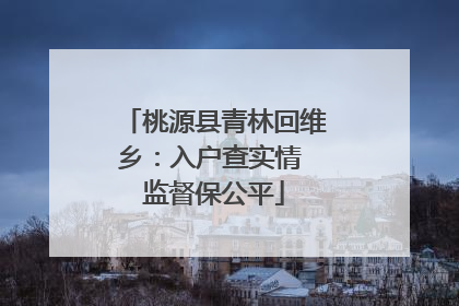 桃源县青林回维乡：入户查实情 监督保公平