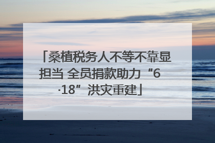 桑植税务人不等不靠显担当 全员捐款助力“6·18”洪灾重建