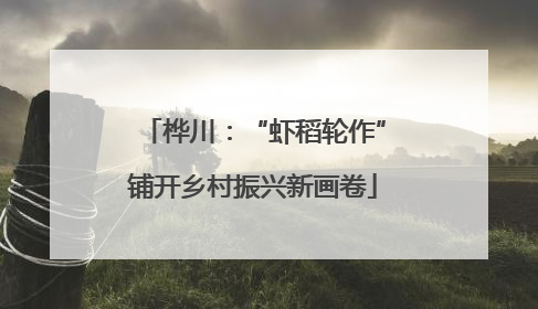 桦川：“虾稻轮作”铺开乡村振兴新画卷