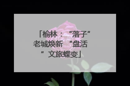 榆林：“落子”老城焕新 “盘活”文旅蝶变