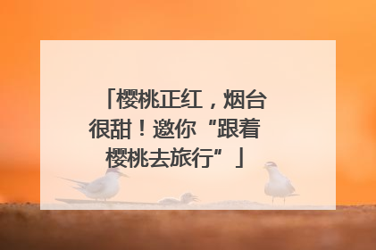 樱桃正红，烟台很甜！邀你“跟着樱桃去旅行”