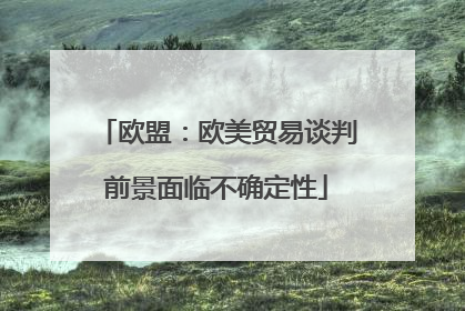 欧盟：欧美贸易谈判前景面临不确定性
