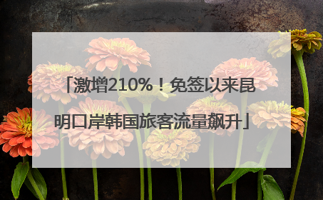 激增210%！免签以来昆明口岸韩国旅客流量飙升