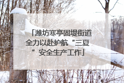 潍坊寒亭固堤街道全力以赴护航“三夏”安全生产工作